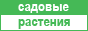������� ��������: �������, ����������, ����� � �����